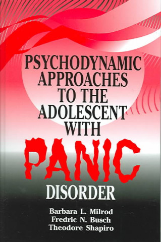 Psychodynamic Approaches to the Adolescent with Panic Disorder