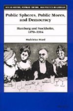 Public Spheres, Public Mores and Democracy