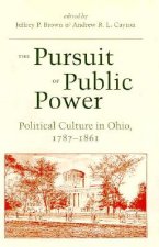 Pursuit of Public Power