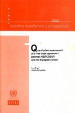 Quantitative Assessment of a Free Trade Agreement Between Mercosur and the European Union