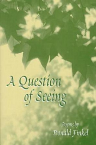 Question of Seeing