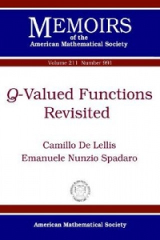 Q-Valued Functions Revisited