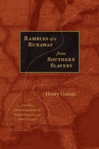 Rambles of a Runaway from Southern Slavery