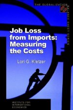 Job Loss from Imports - Measuring the Costs