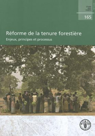 Reforme de la Tenure Forestiere