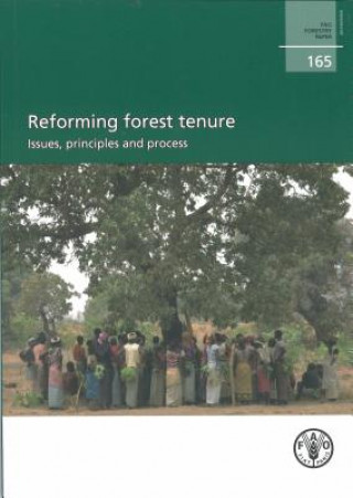 Reforming Forest Tenure