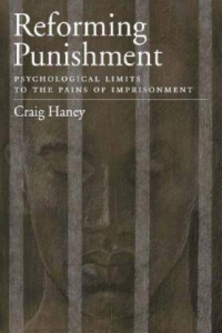 Reforming Punishment