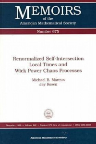 Renormalized Self-Intersection Local Times and Wick Power Chaos Processes