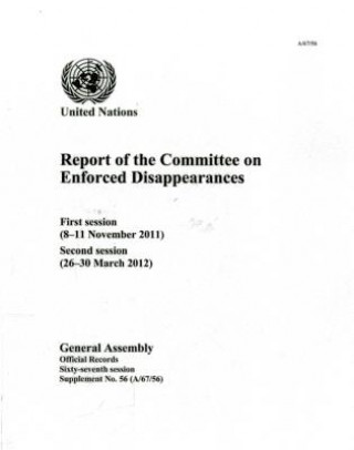 Report of the Committee on the Enforced Disappearances