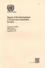 Report of the International Civil Service Commission for the year 2013