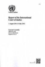 Report of the International Court of Justice