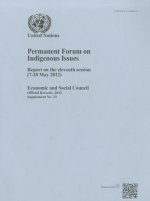 Permanent Forum on Indigenous Issues