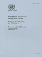 Permanent Forum on Indigenous Issues