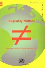 Report on the world social situation 2013