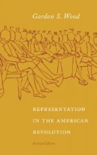 Representation in the American Revolution
