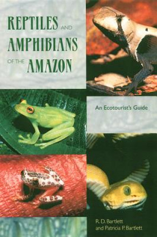 Reptiles and Amphibians of the Amazon