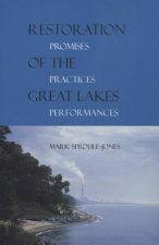 Restoration of the Great Lakes