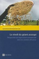 Le reveil du geant assoupi