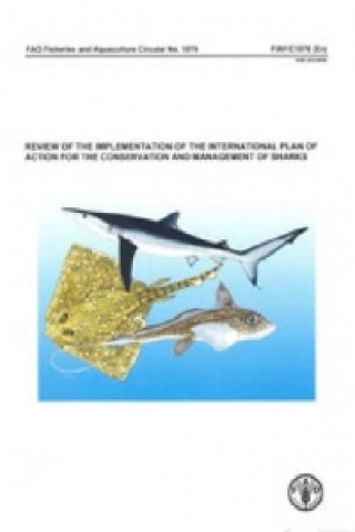 Review of the Implementation of the International Plan of Action for the Conservation and Management of Sharks