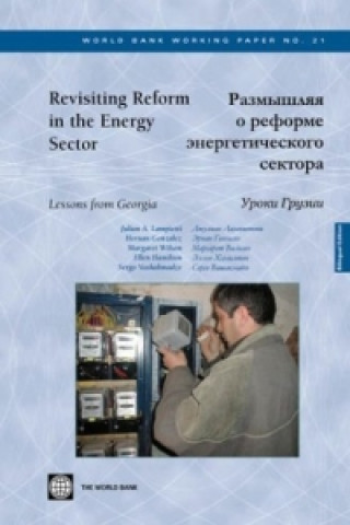 Revisiting Reform in the Energy Sector