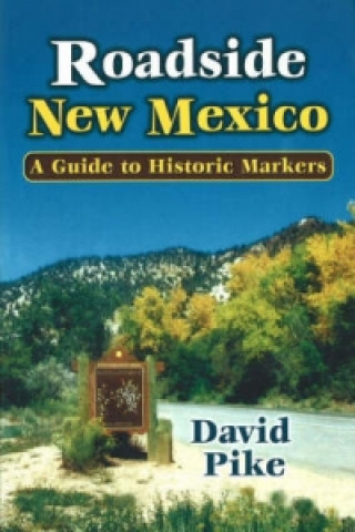 Roadside New Mexico