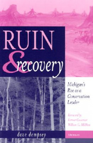 Ruin and Recovery