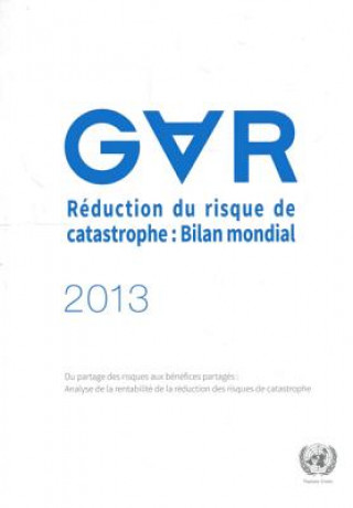 Reduction du risque de catastrophe, Bilan mondial 2013