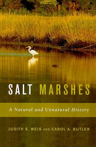 Salt Marshes