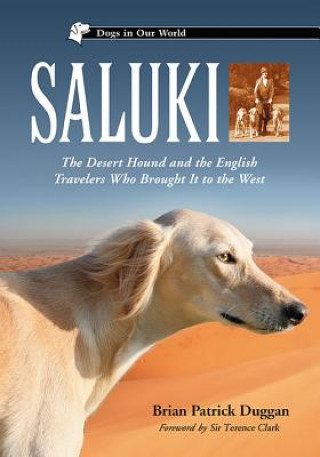 Saluki