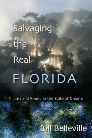 Salvaging The Real Florida
