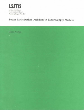 Sector Participation Decisions in Labor Supply Models