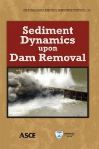 Sediment Dynamics upon Dam Removal