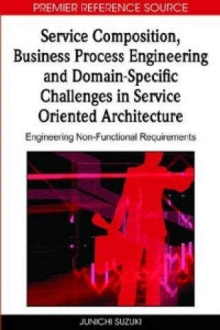 Service Composition, Business Process Engineering and Domain-specific Challenges in Service Oriented Architecture