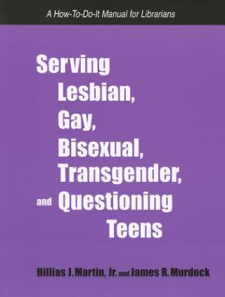 Serving Lesbian, Gay, Bisexual, Transgender and Questioning Teens