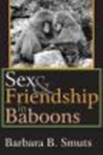 Sex and Friendship in Baboons