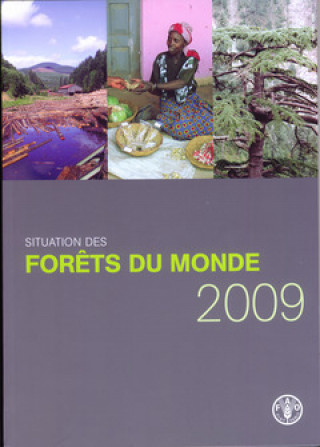 Situation Des Forets Du Monde 2009