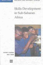 Skills Development in Sub-Saharan Africa