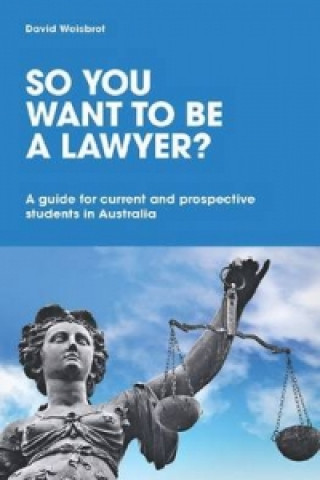 So You Want to be a Lawyer?