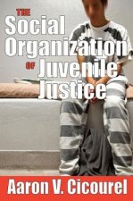 Social Organization of Juvenile Justice
