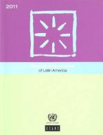 Social panorama of Latin America 2011