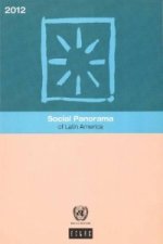 Social panorama of Latin America 2012