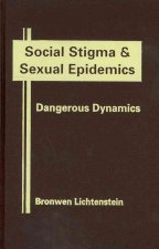 Social Stigma and Sexual Epidemics