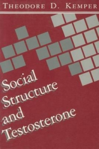 Social Structure and Testosterone