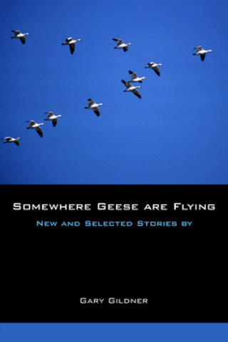 Somewhere Geese are Flying