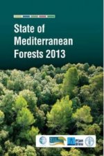 State of Mediterranean forests 2013