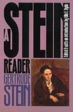Stein Reader