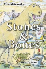 Stones and Bones