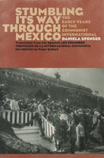 Stumbling Its Way through Mexico