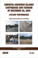 Sumatra-Andaman Island Earthquake and Tsunami of December 26, 2004