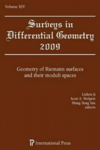 Surveys in Differential Geometry, Volume XIV
